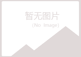 邙山区搁浅能源有限公司